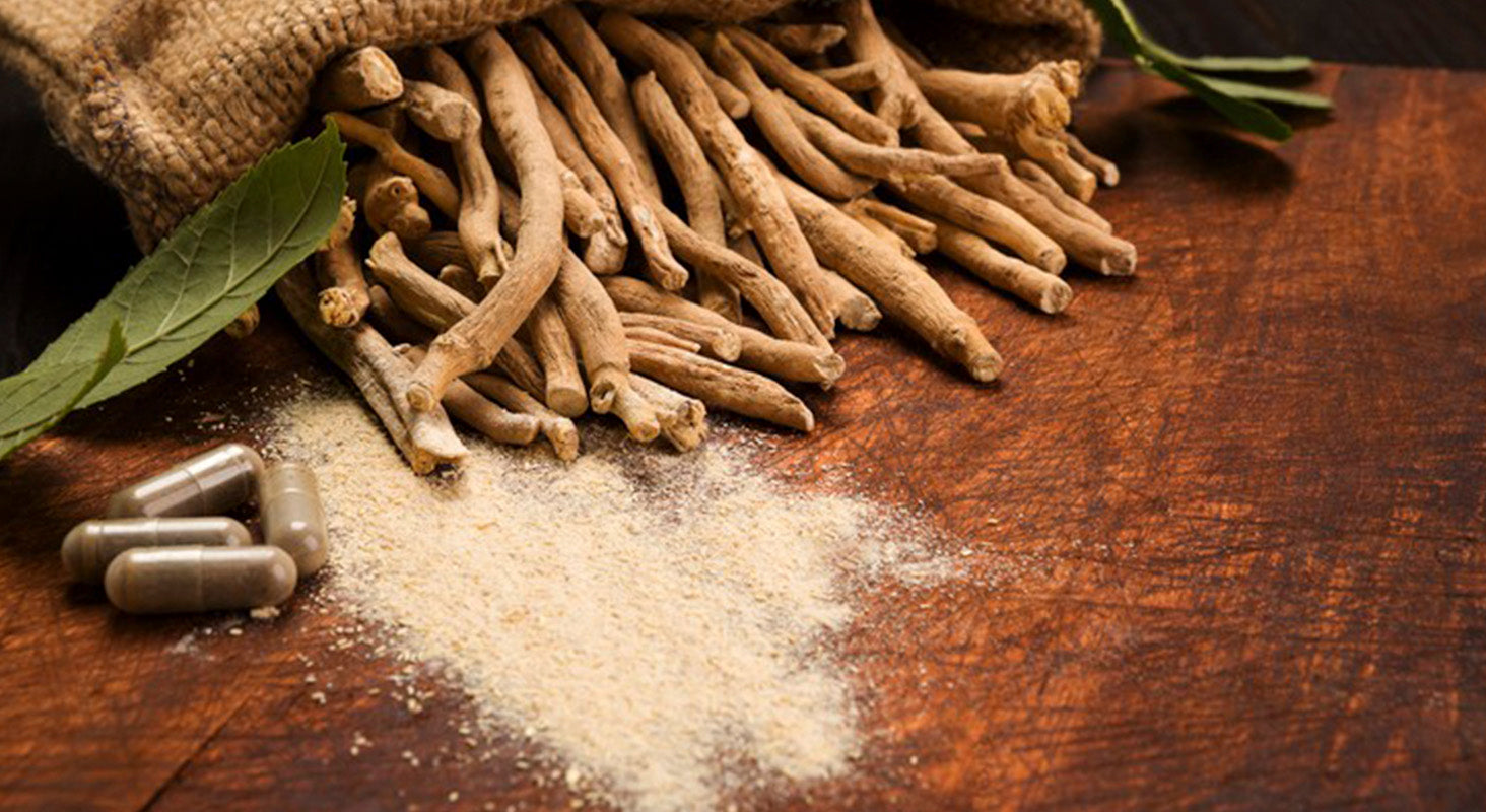 Ashwaganda – Planta Adaptogénica
