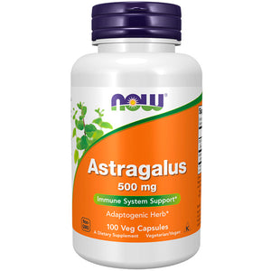 ASTRAGALUS 500 mg